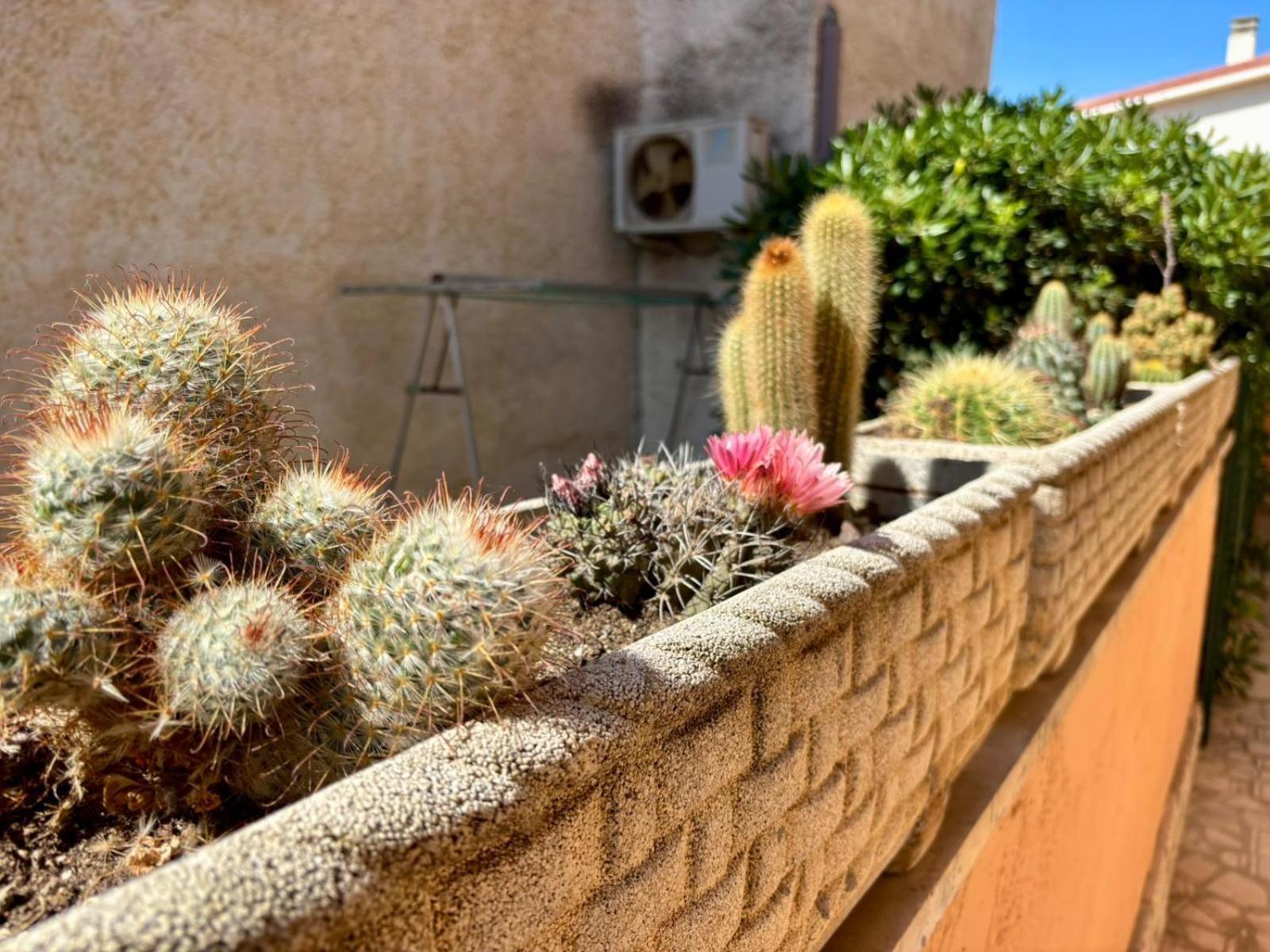 فيوميتشينو B&B Buena Vista المظهر الخارجي الصورة